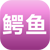鱷魚養殖